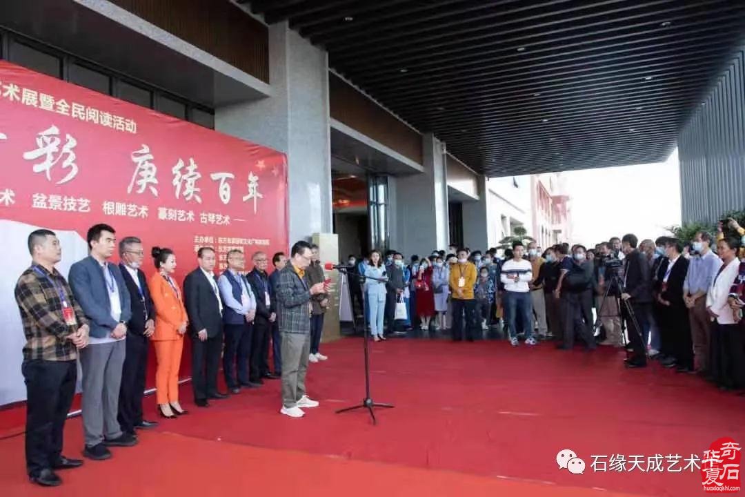 海南开展赏石文化艺术“三进”活动迎新春