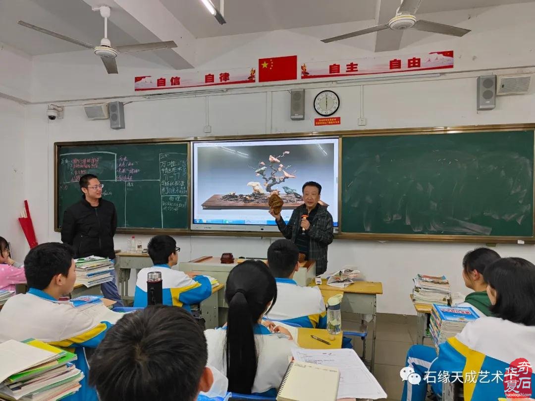 海南开展赏石文化艺术“三进”活动迎新春