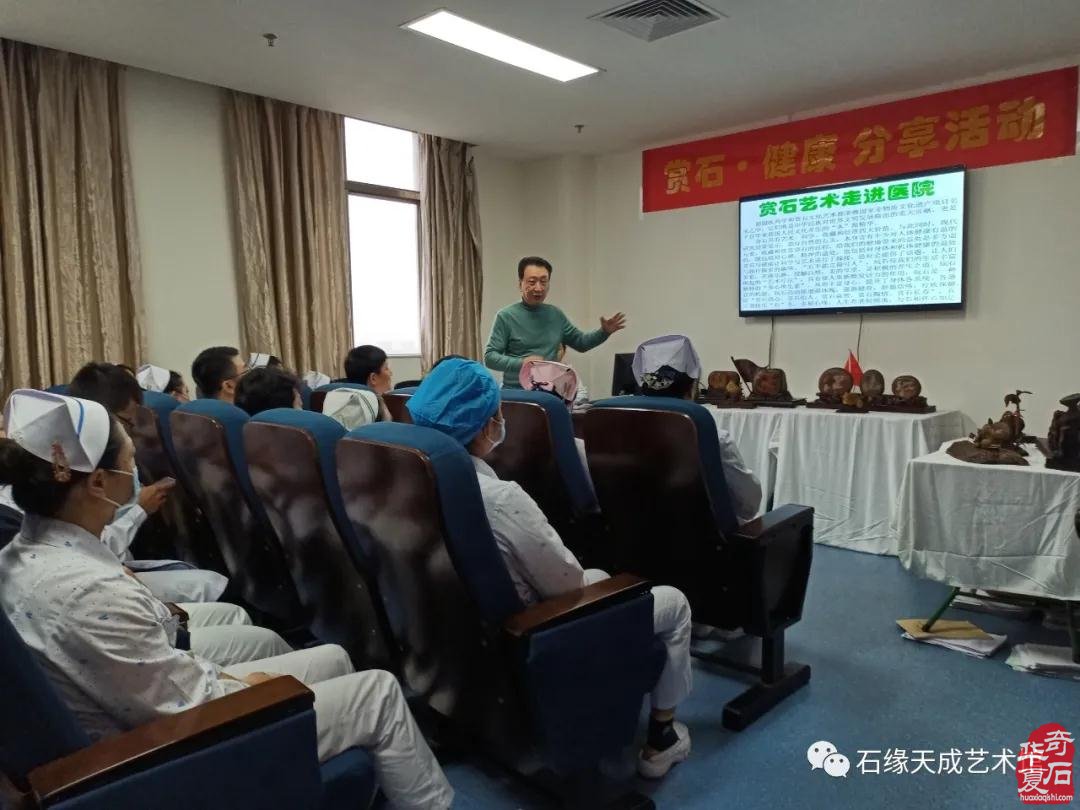海南开展赏石文化艺术“三进”活动迎新春