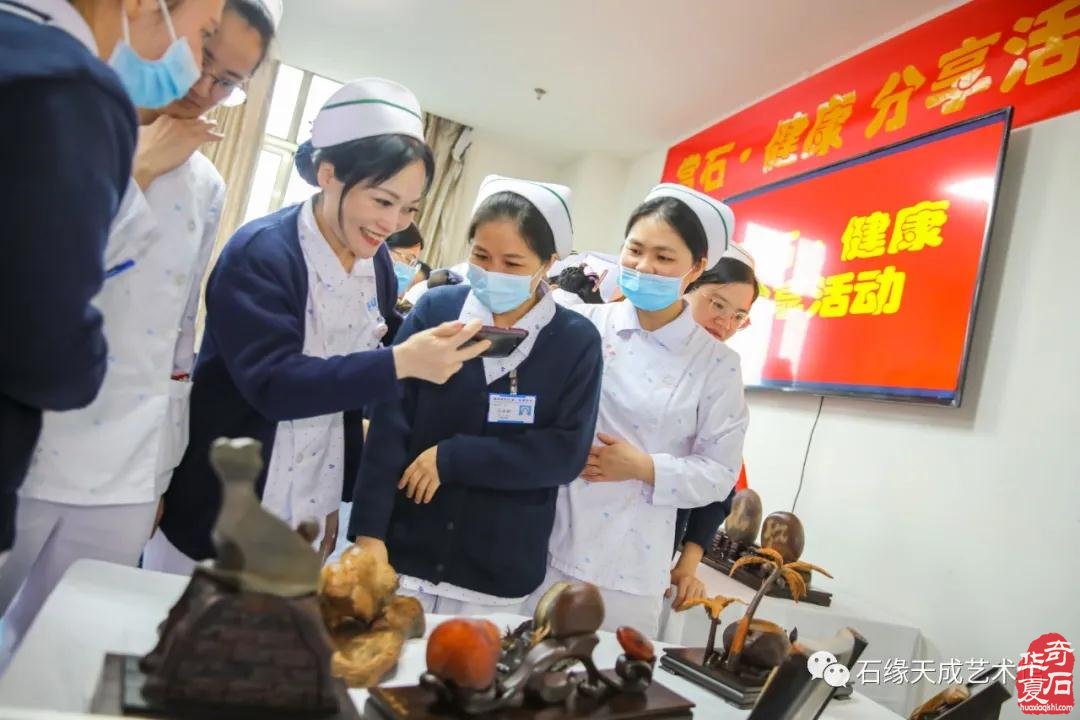 海南开展赏石文化艺术“三进”活动迎新春