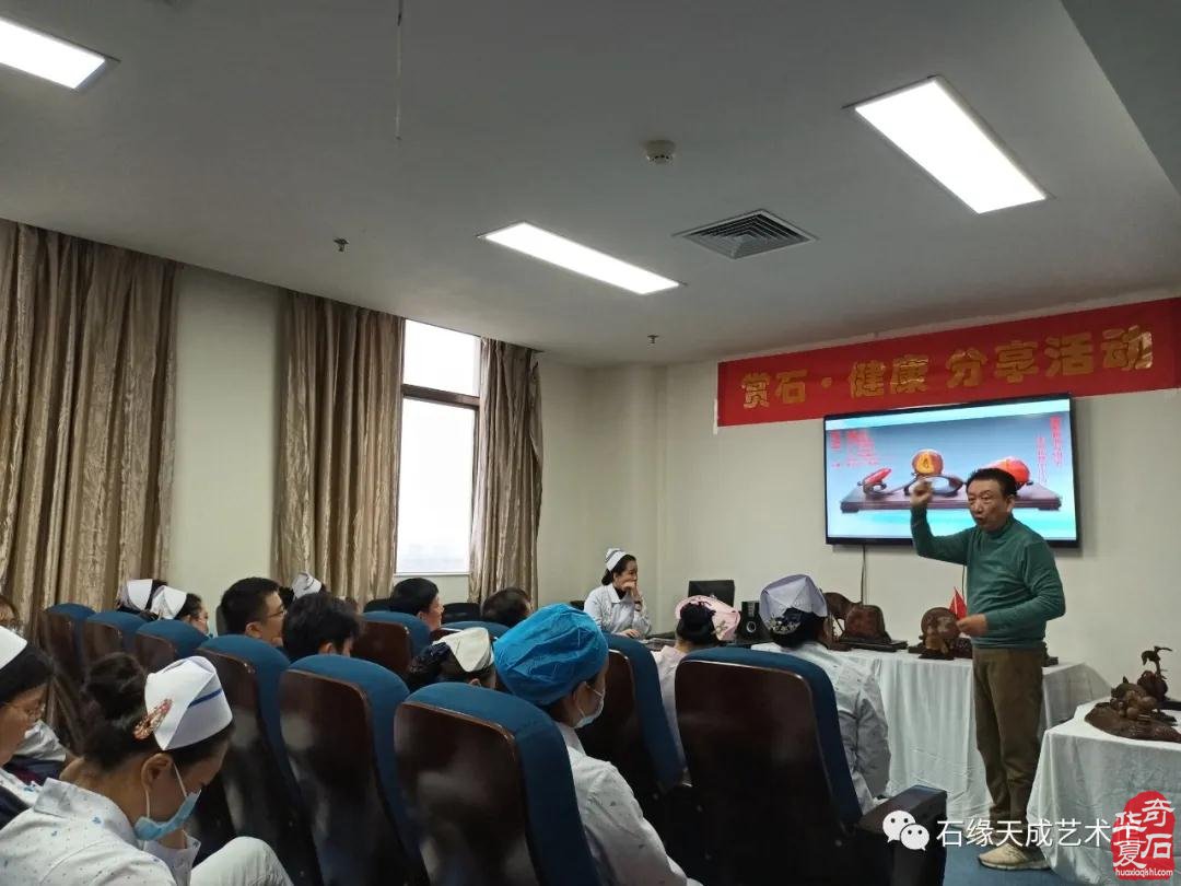 海南开展赏石文化艺术“三进”活动迎新春
