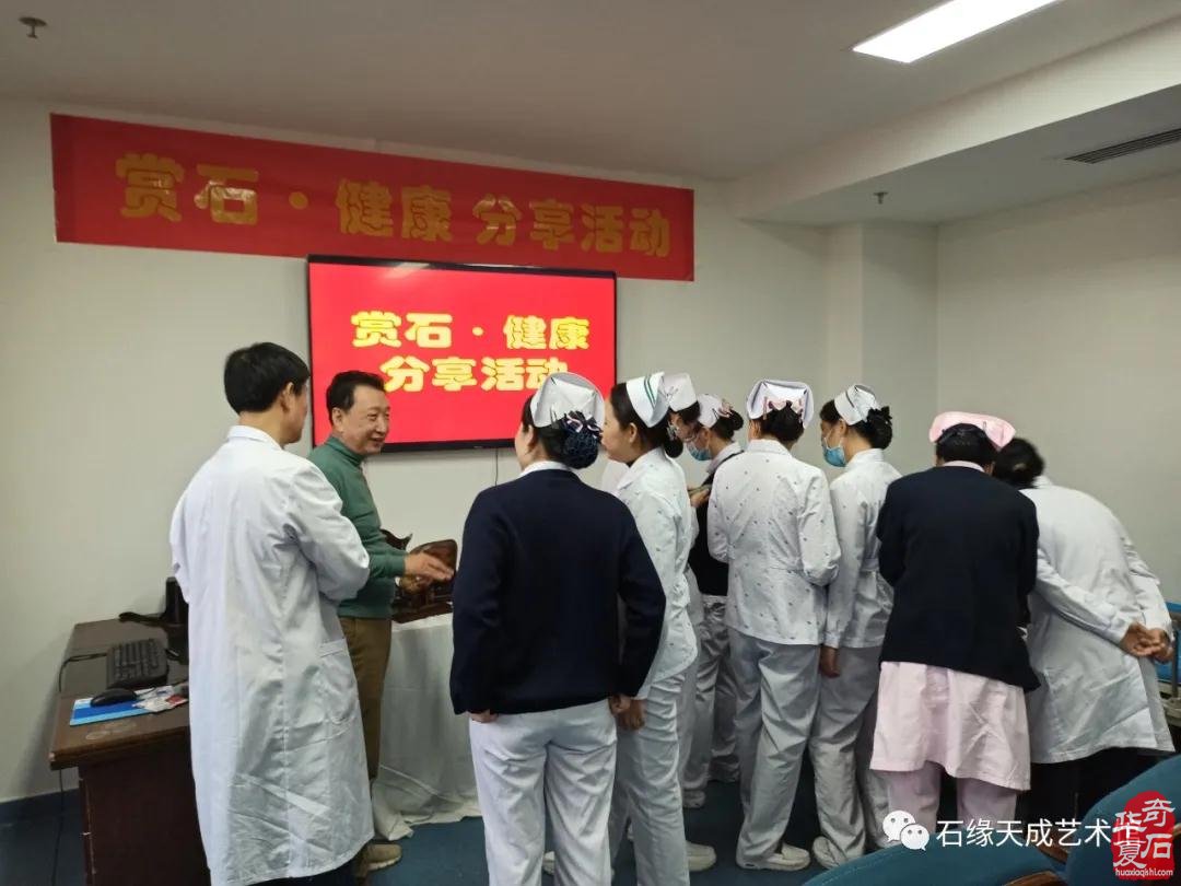 海南开展赏石文化艺术“三进”活动迎新春