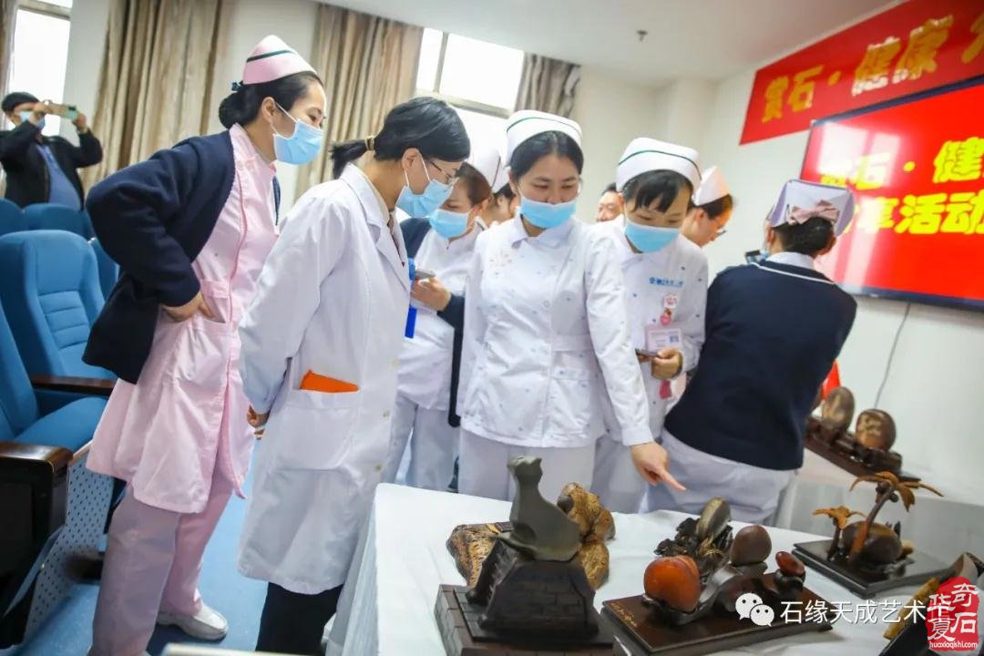海南开展赏石文化艺术“三进”活动迎新春
