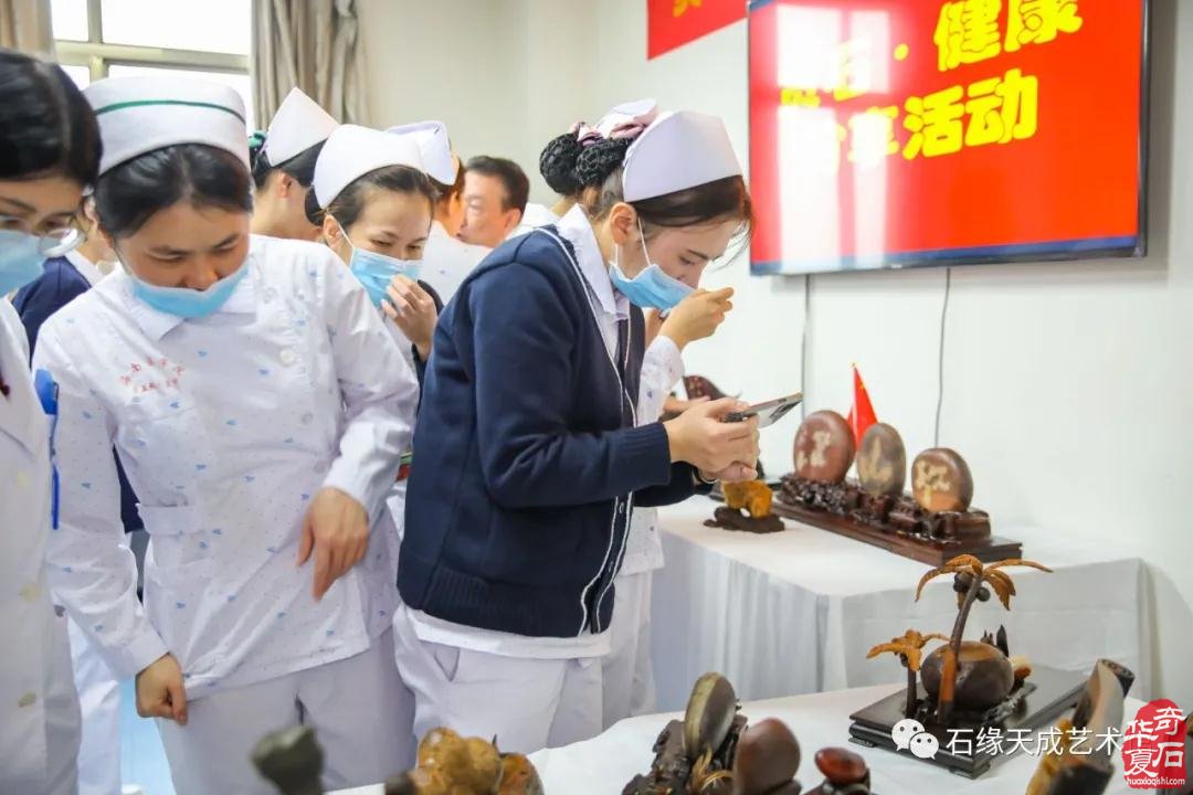 海南开展赏石文化艺术“三进”活动迎新春