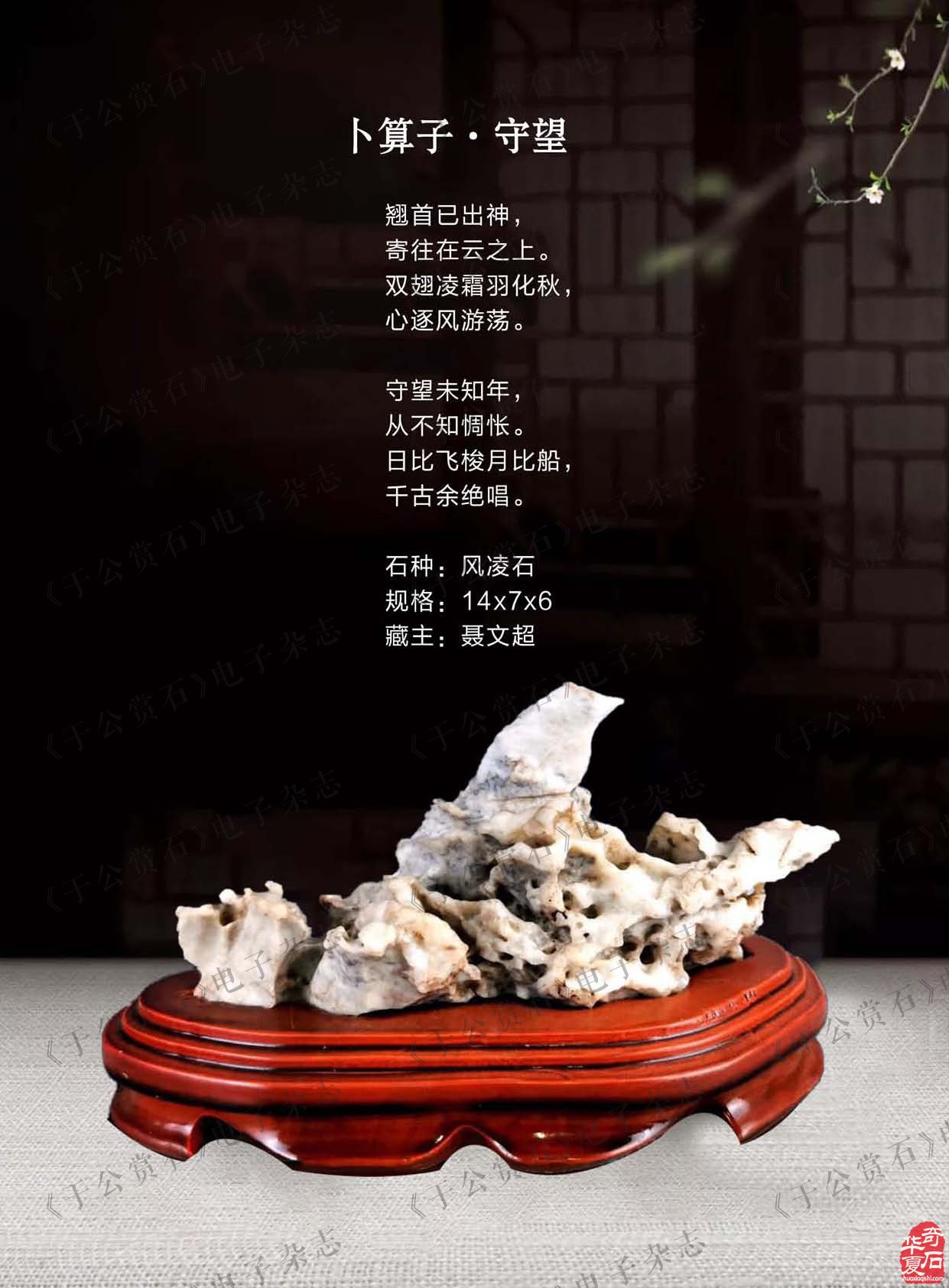 《于公赏石》带您品美石学鉴赏知识