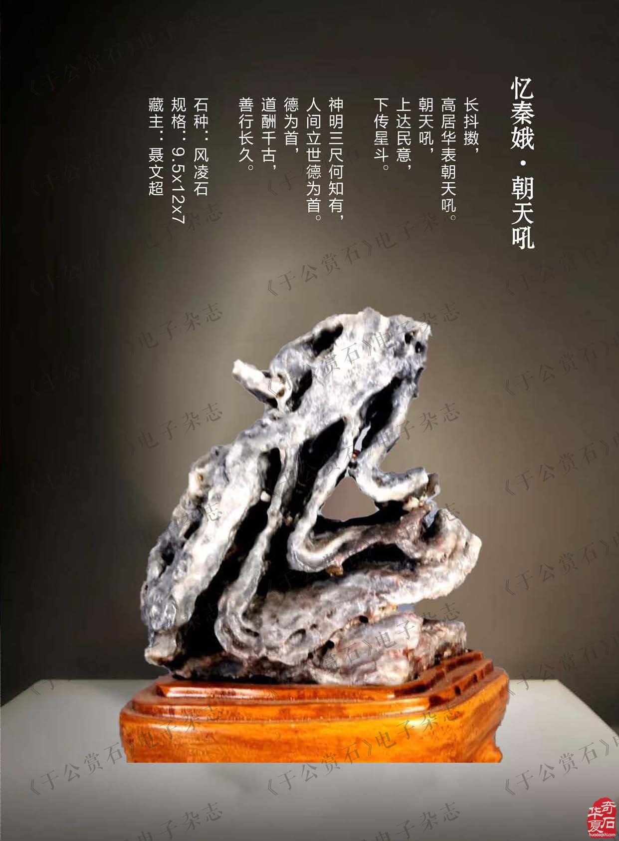 《于公赏石》带您品美石学鉴赏知识
