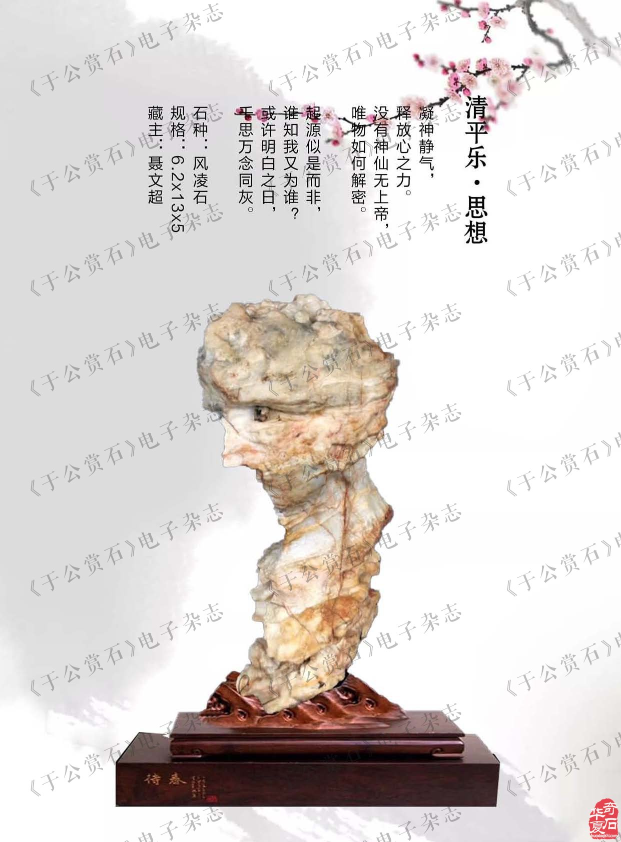 《于公赏石》带您品美石学鉴赏知识