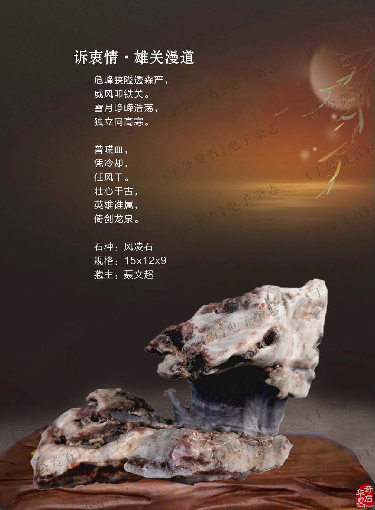 《于公赏石》带您品美石学鉴赏知识