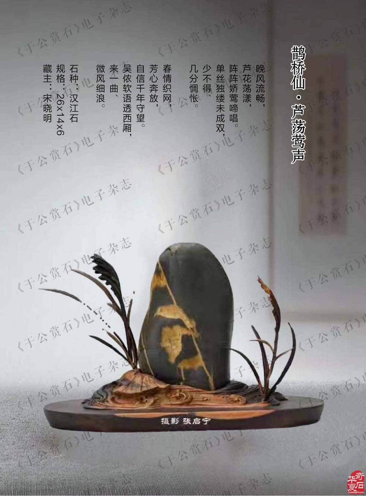 《于公赏石》带您品美石学鉴赏知识