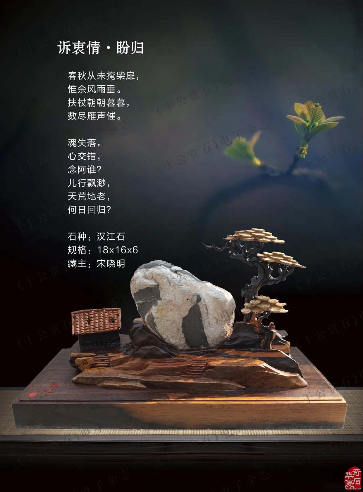 《于公赏石》带您品美石学鉴赏知识