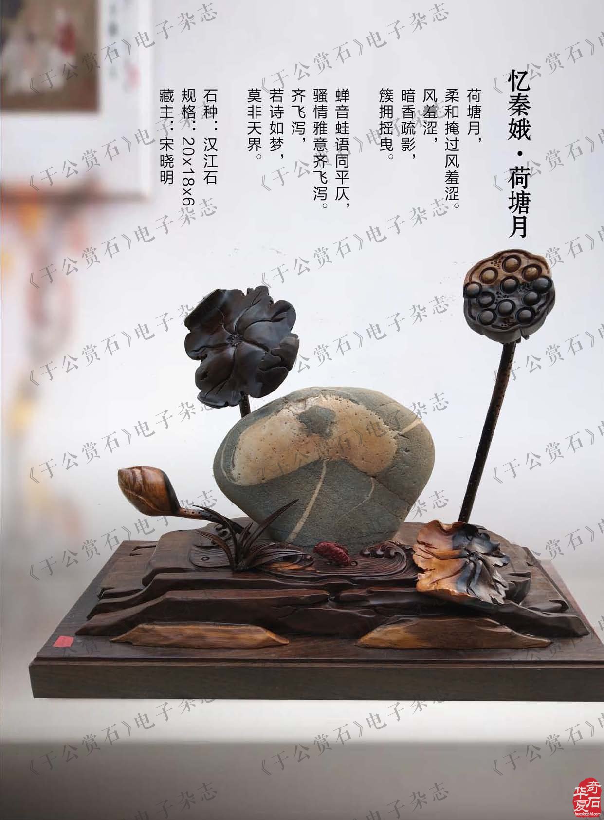 《于公赏石》带您品美石学鉴赏知识