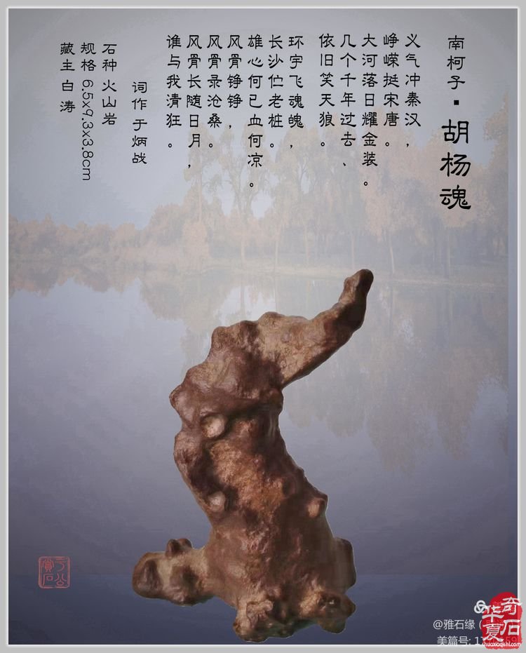 奇石赏心悦目，配词妙语升华