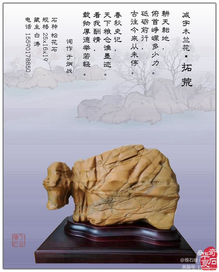 奇石赏心悦目，配词妙语升华