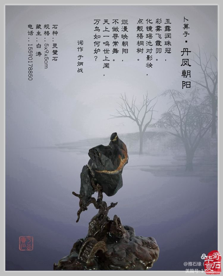 奇石赏心悦目，配词妙语升华