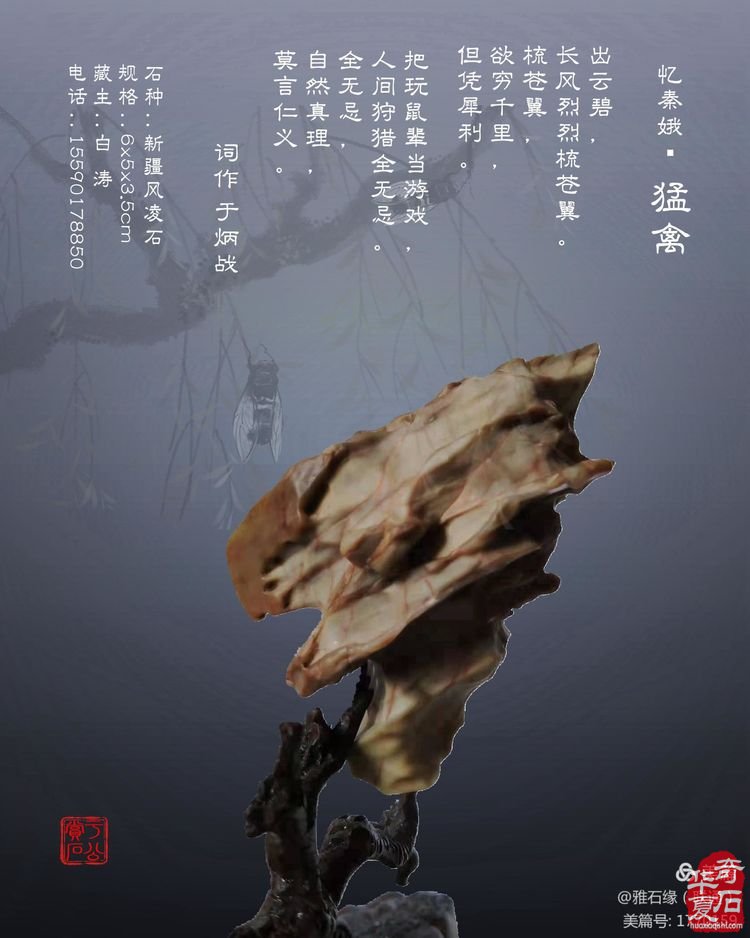 奇石赏心悦目，配词妙语升华