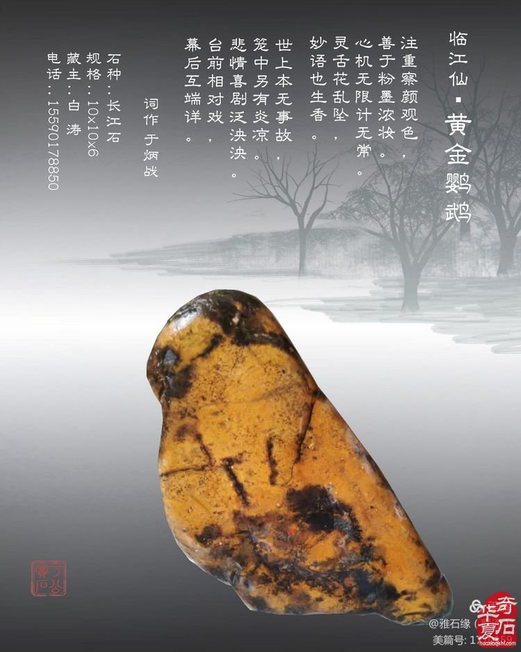奇石赏心悦目，配词妙语升华