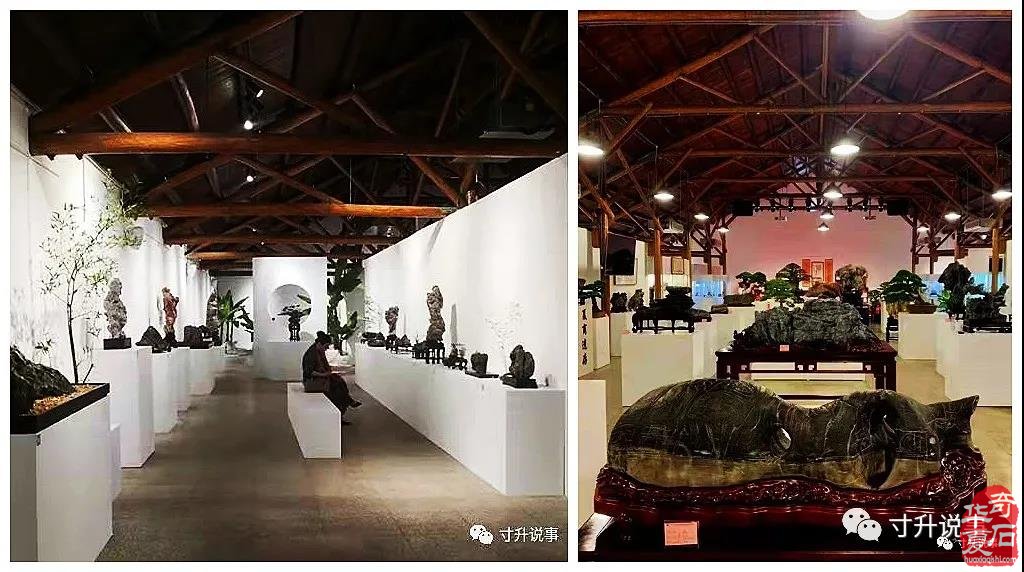 《寸升说事》2021年我的关键词：赏石有乐
