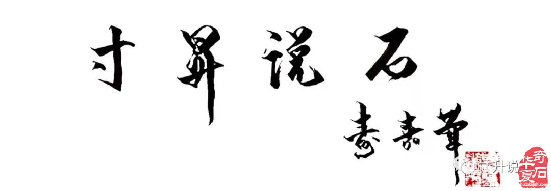 《寸升说事》2021年我的关键词：赏石有乐