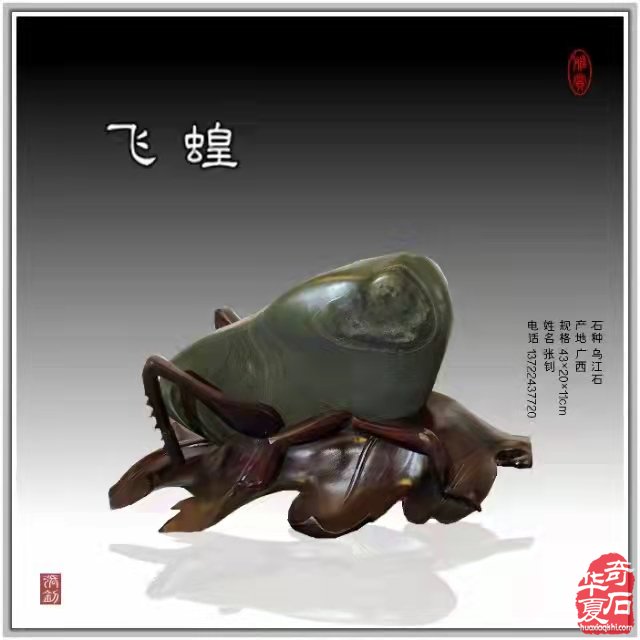 潜心玩石追梦天雕珍品，求精务实尽寻日月精华！