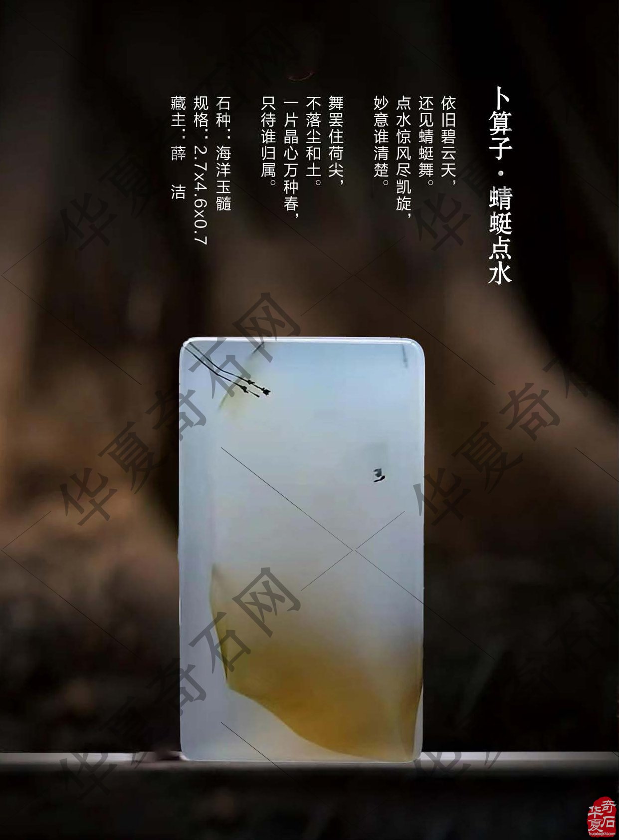 《于公赏石》带您领略赏石之真谛