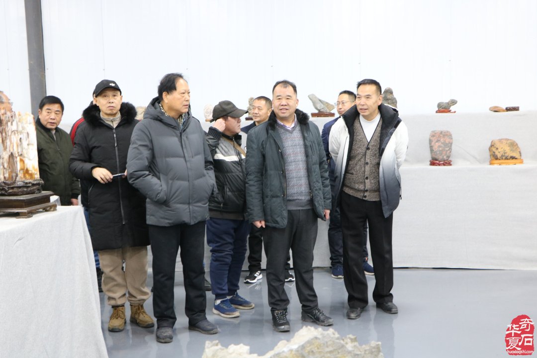 洛阳市赏石协会给全国的石友拜年啦！ 图