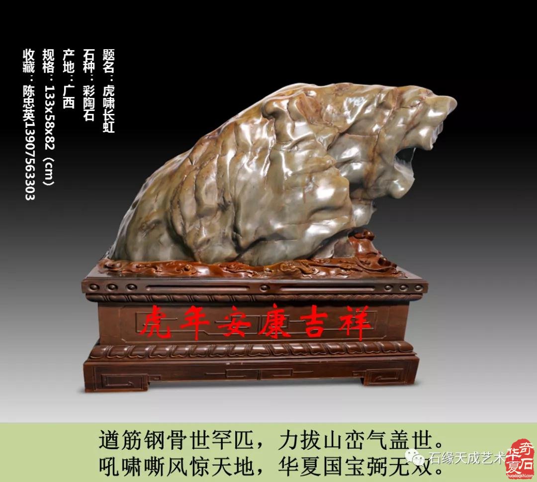 赏石迎春•寅虎贺岁 （组图）