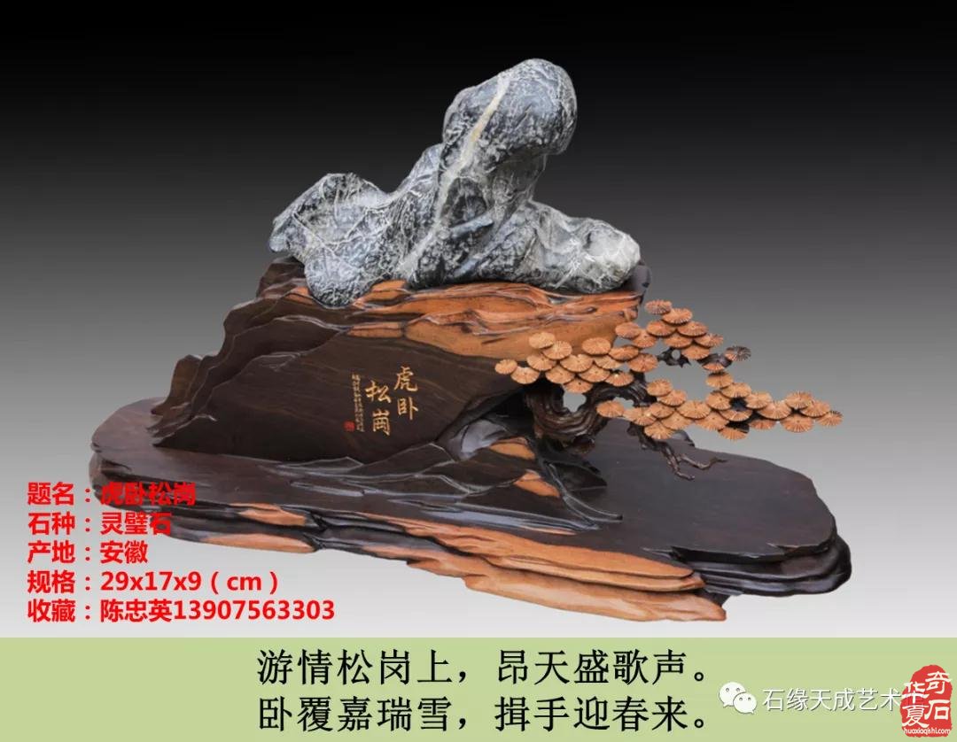 赏石迎春•寅虎贺岁 （组图）