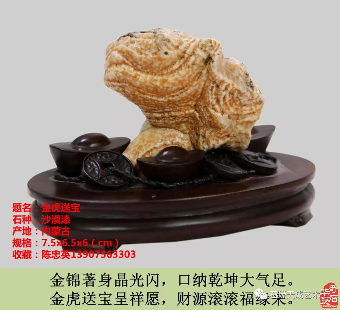 赏石迎春•寅虎贺岁 （组图）