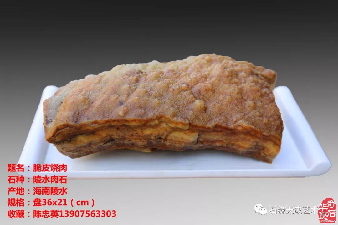 赏石迎春•寅虎贺岁 （组图）