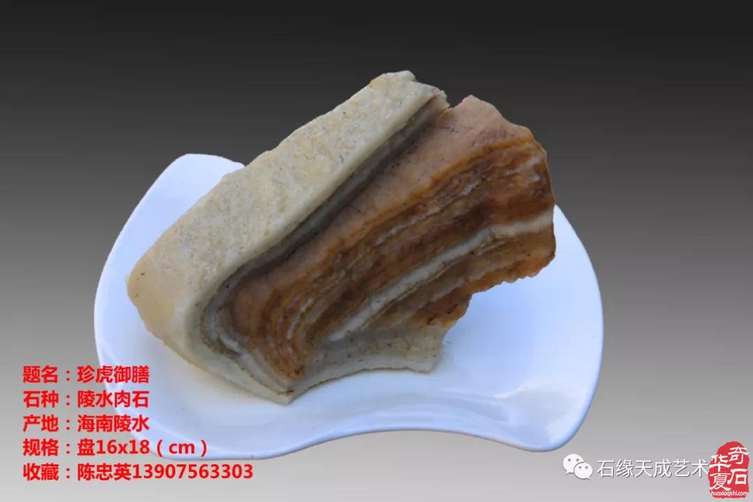 赏石迎春•寅虎贺岁 （组图）