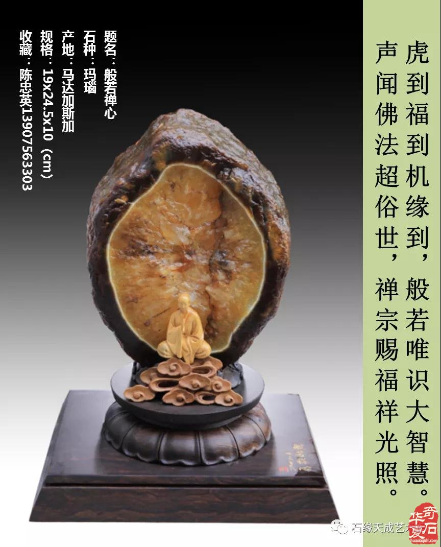 赏石迎春•寅虎贺岁 （组图）