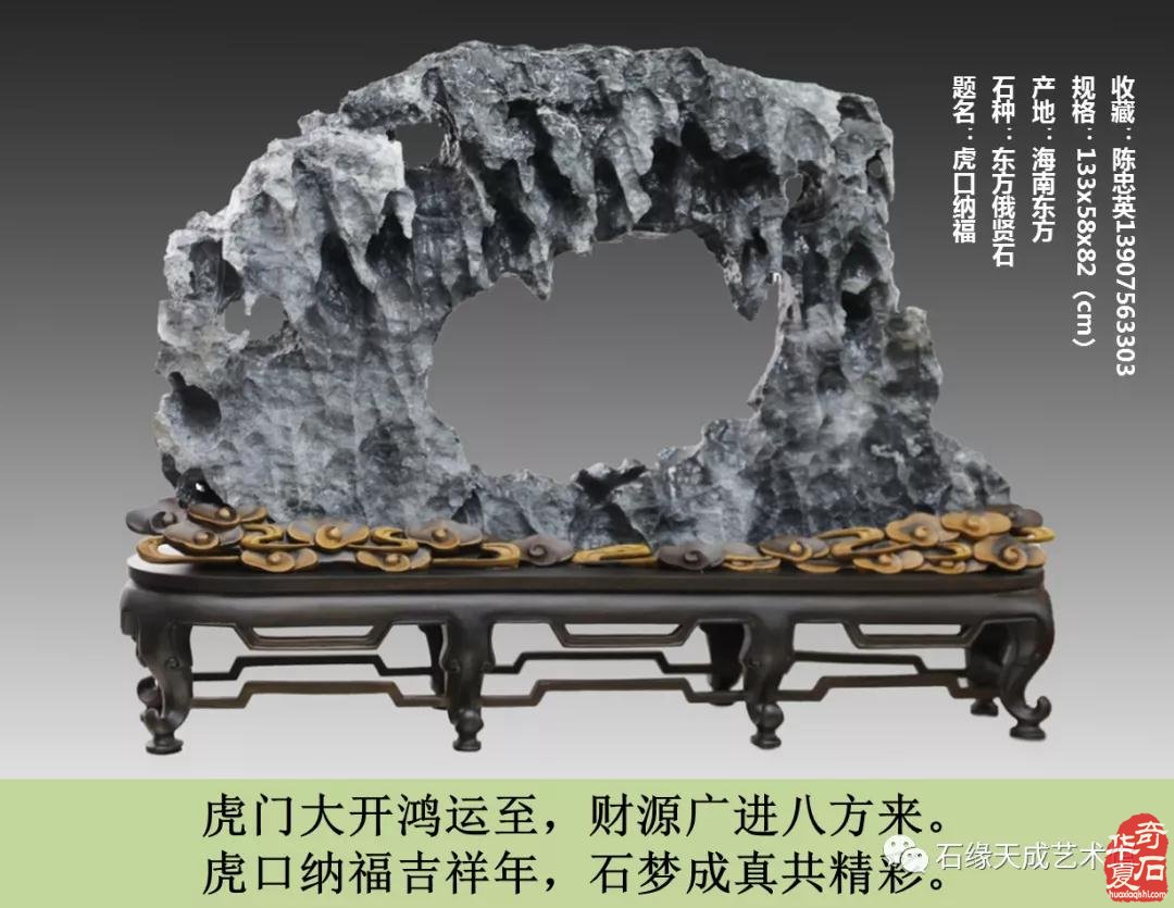 赏石迎春•寅虎贺岁 （组图）