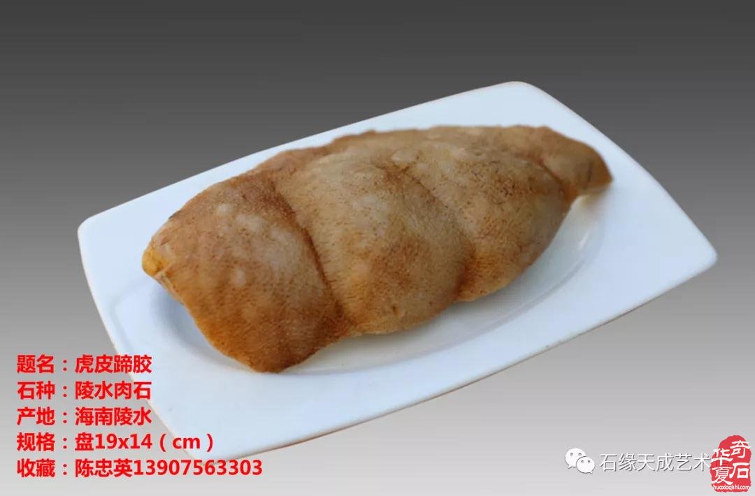 赏石迎春•寅虎贺岁 （组图）