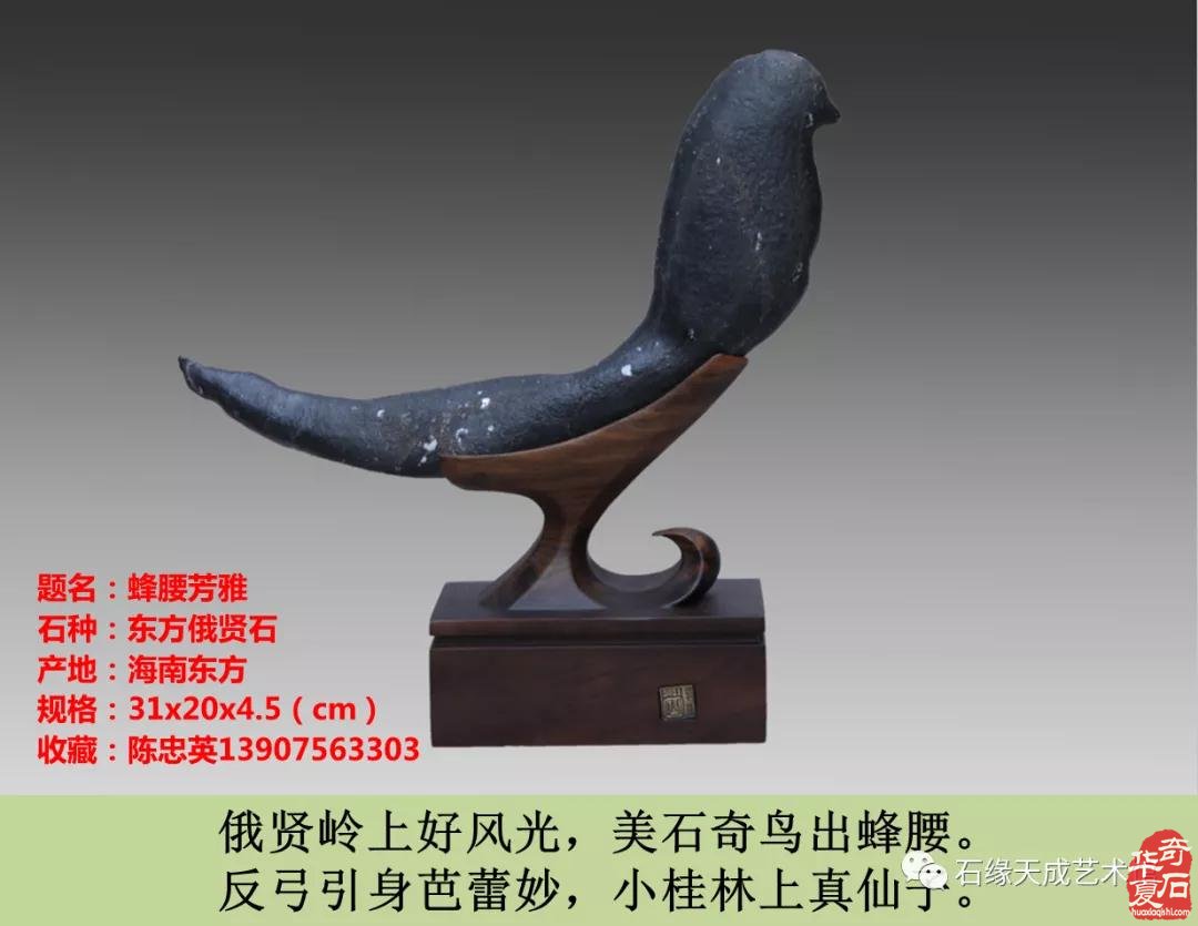 赏石迎春•寅虎贺岁 （组图）
