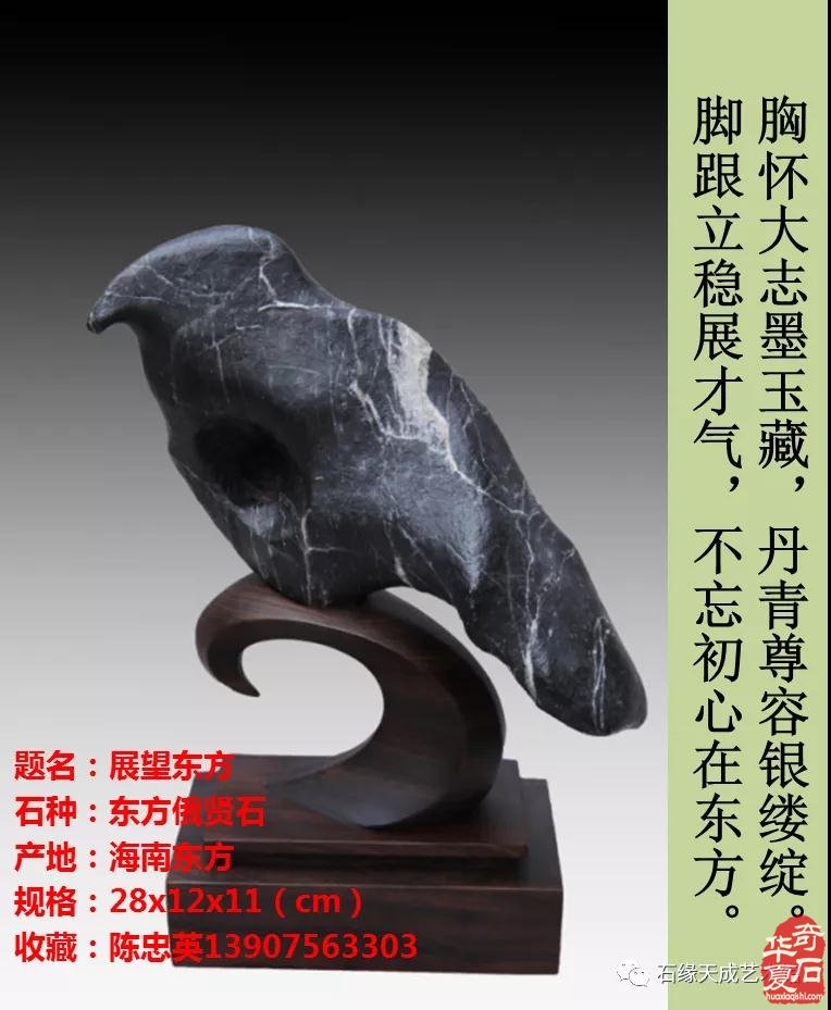 赏石迎春•寅虎贺岁 （组图）