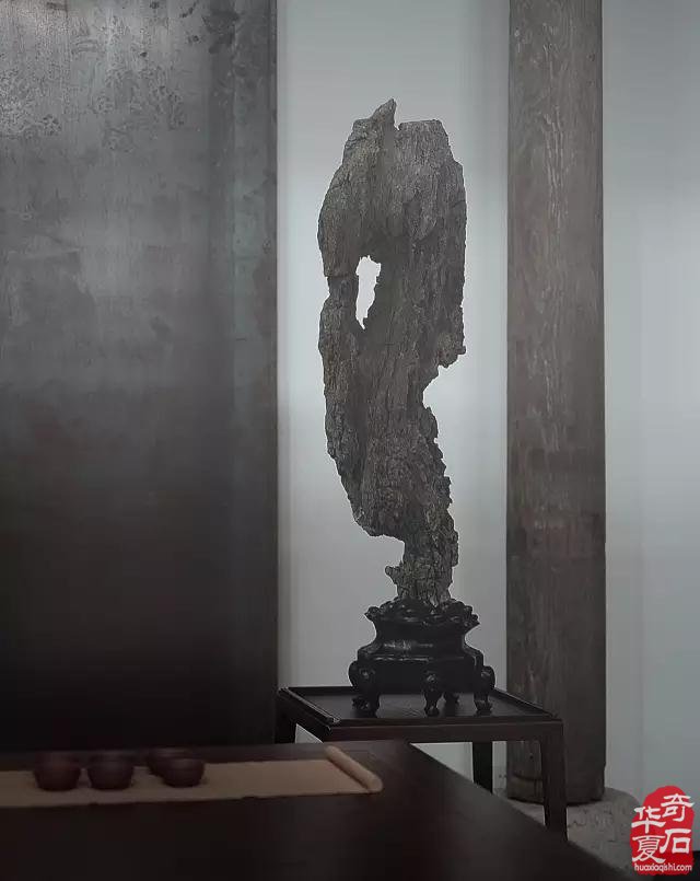 审美，让生存变成了生活。