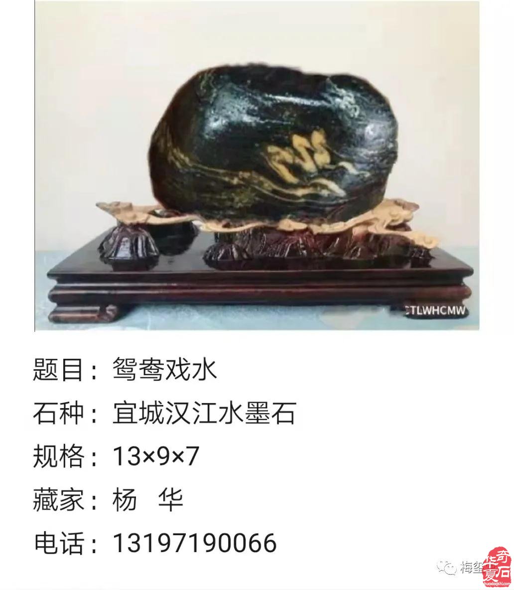 梅玺堂//全国奇石免费展示图(第97期)