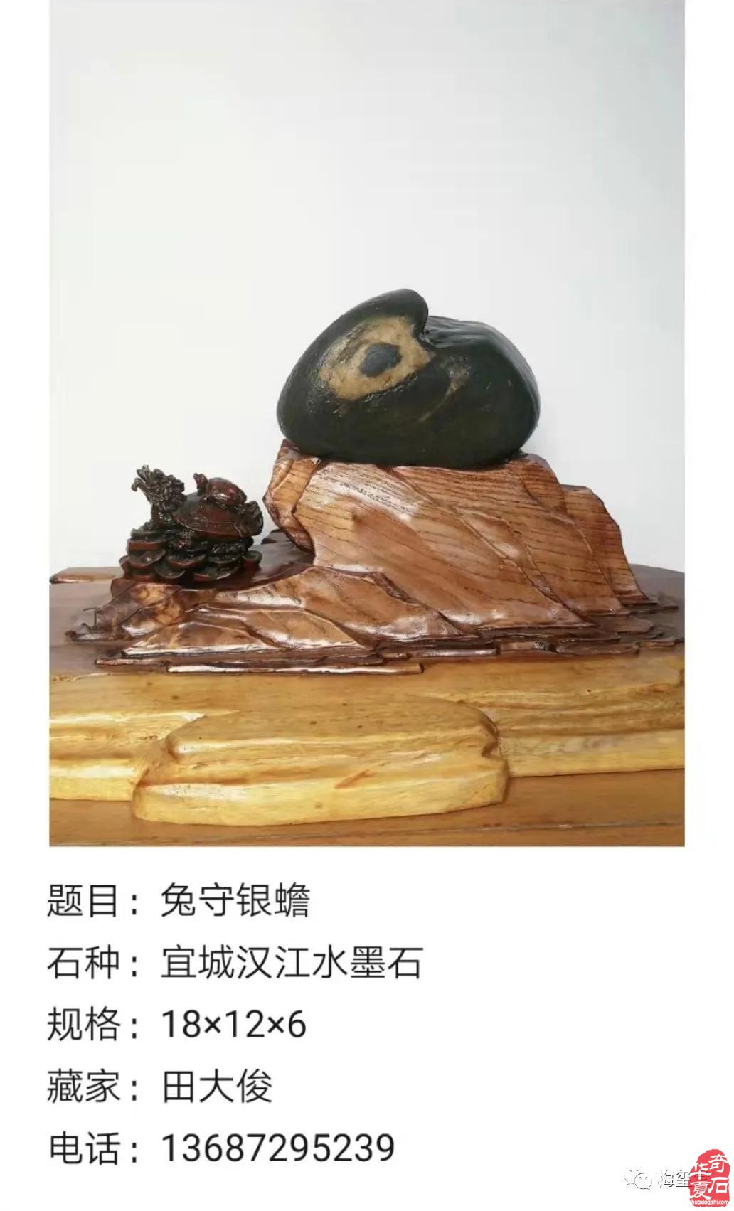 梅玺堂//全国奇石免费展示图(第97期)