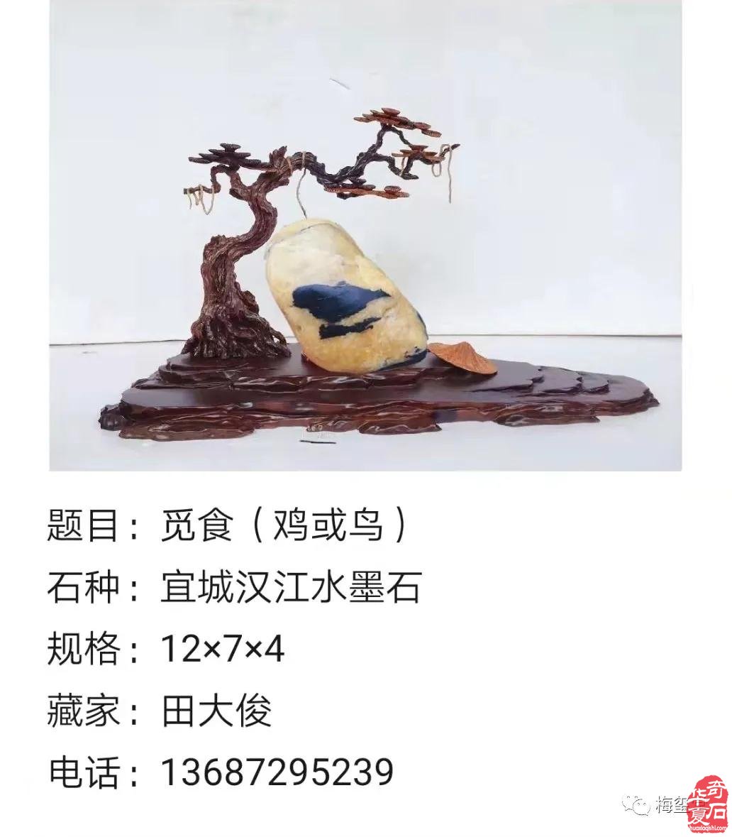 梅玺堂//全国奇石免费展示图(第97期)