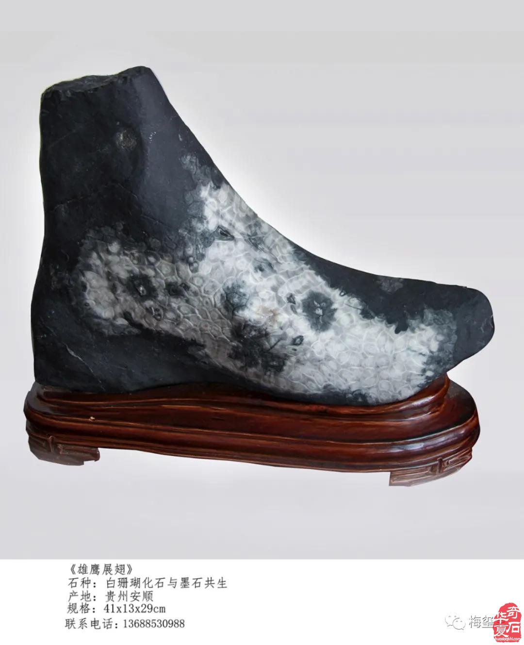 梅玺堂//全国奇石免费展示图(第97期)