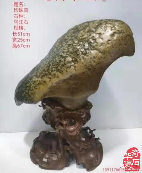 梅玺堂//全国奇石免费展示图(第97期)