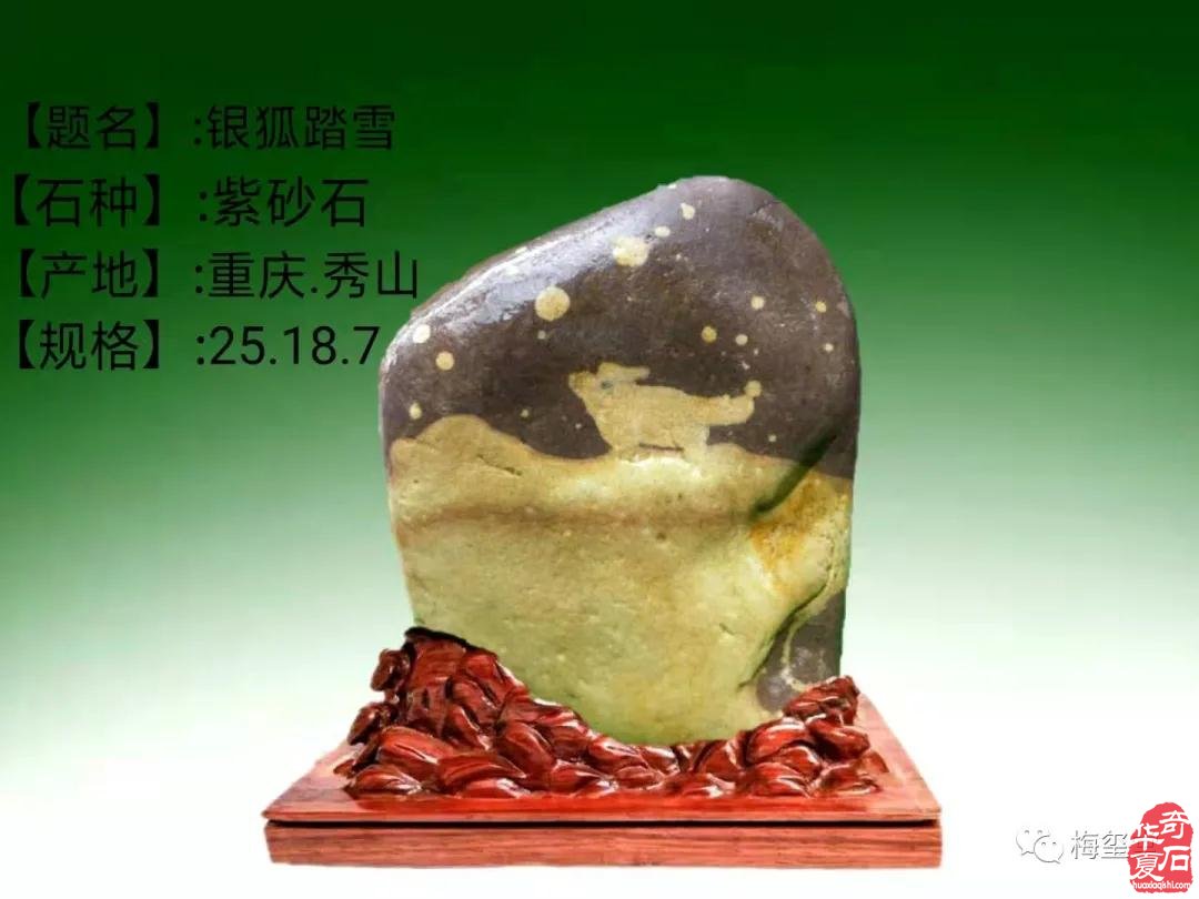 梅玺堂//全国奇石免费展示图(第97期)