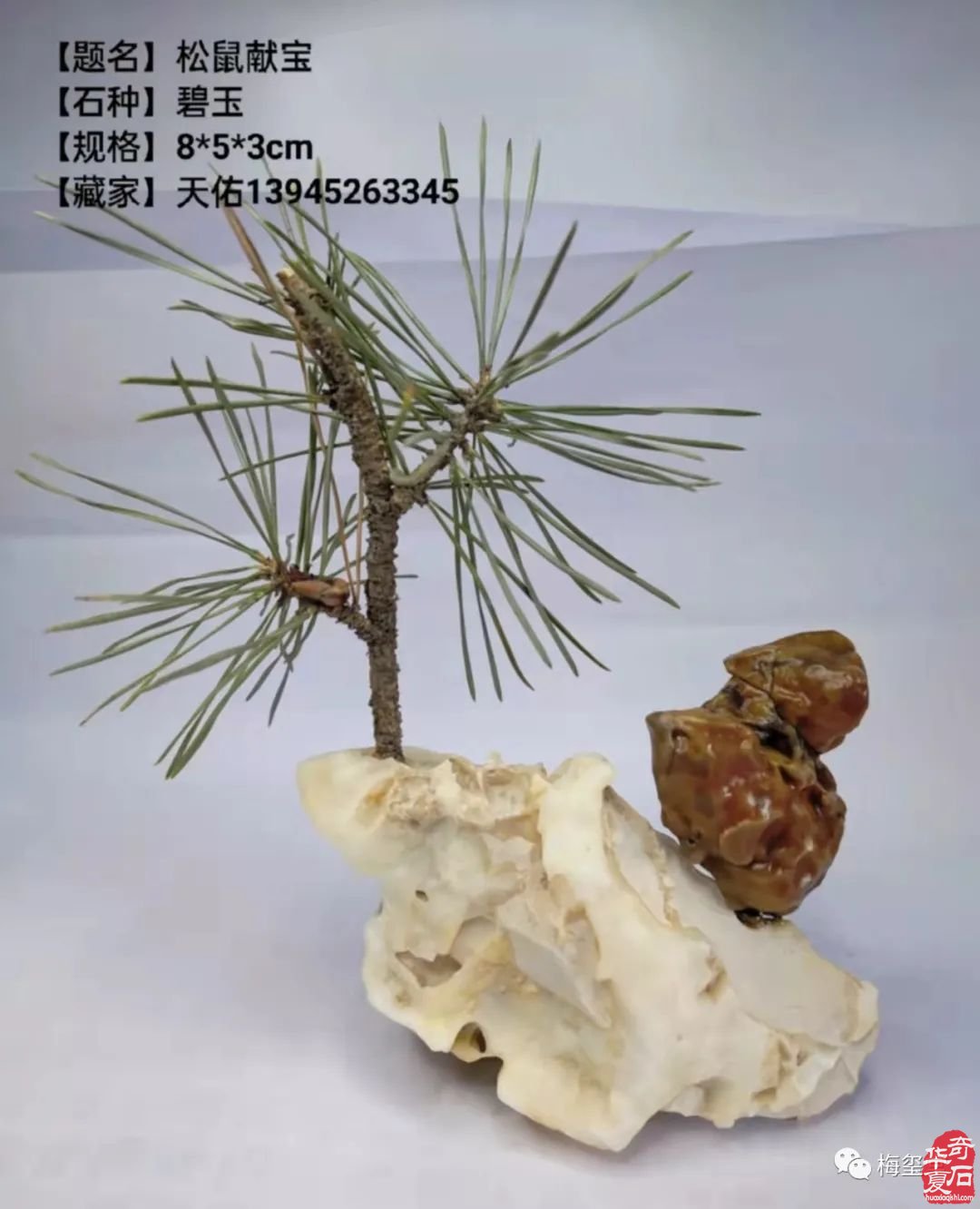 梅玺堂//全国奇石免费展示图(第98期)