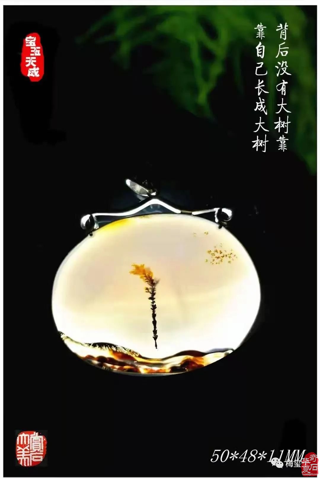 梅玺堂//全国奇石免费展示图(第98期)
