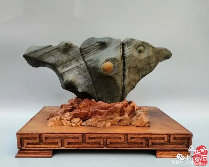 梅玺堂//全国奇石免费展示图(第98期)