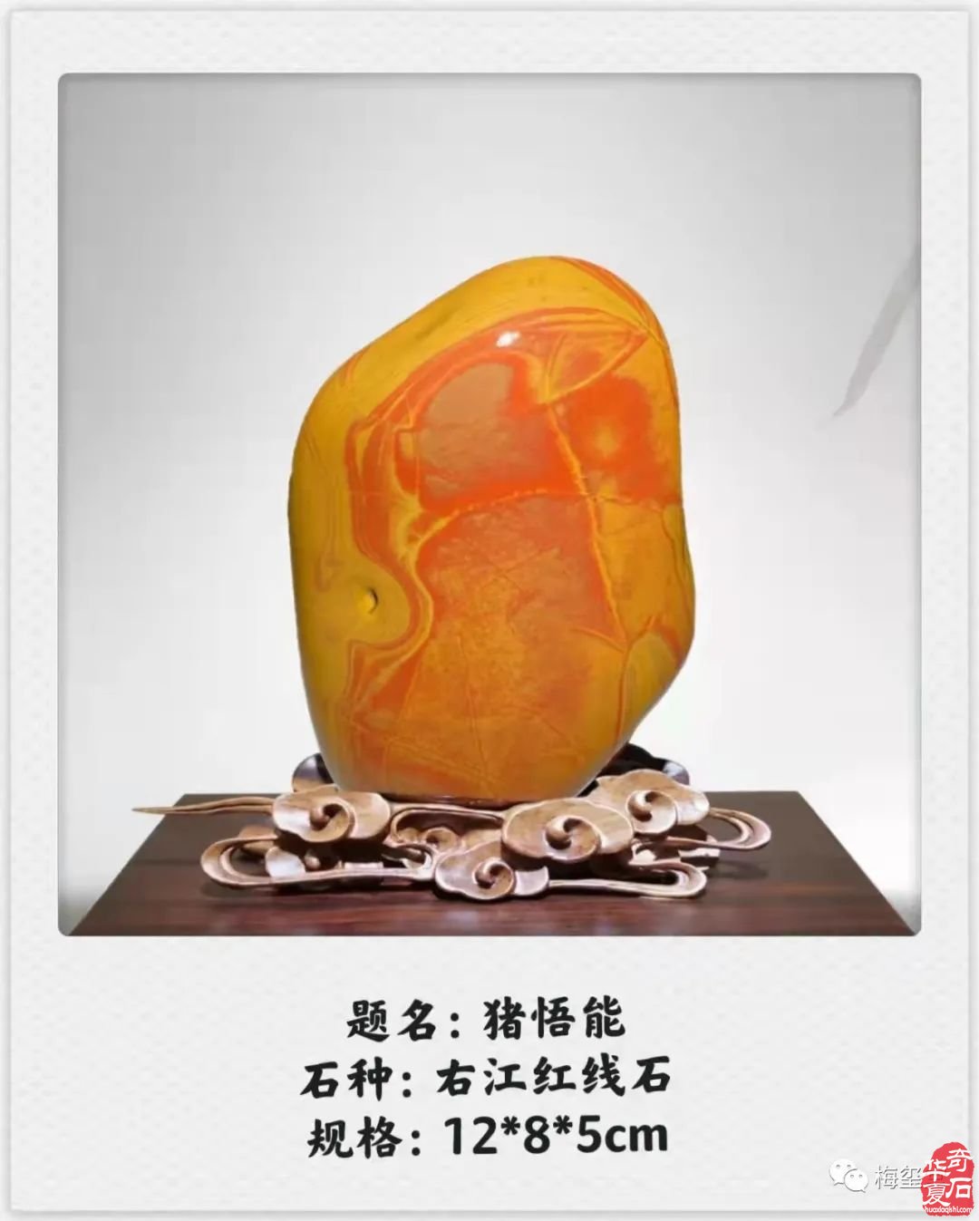 梅玺堂//全国奇石免费展示图(第98期)