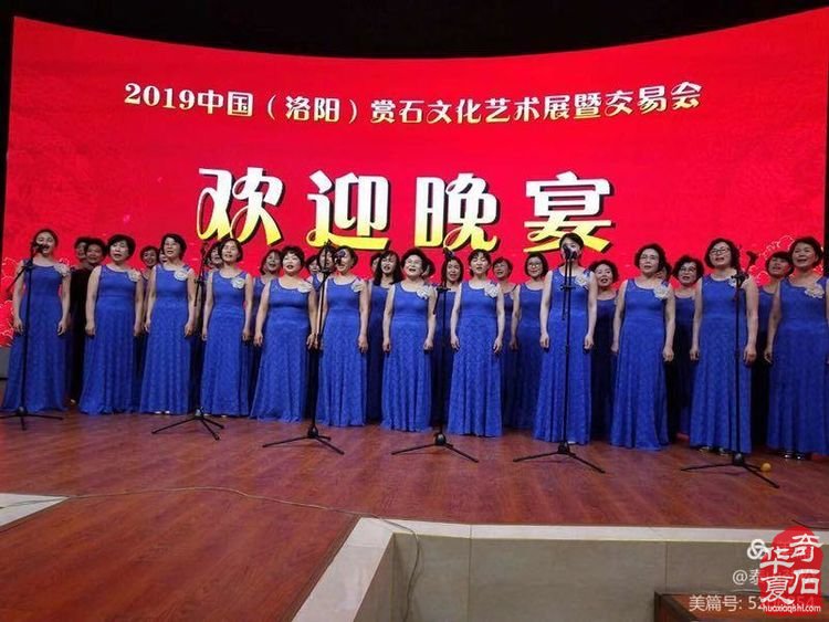 回记【十二】———青岛赏石文化万里行洛阳之旅