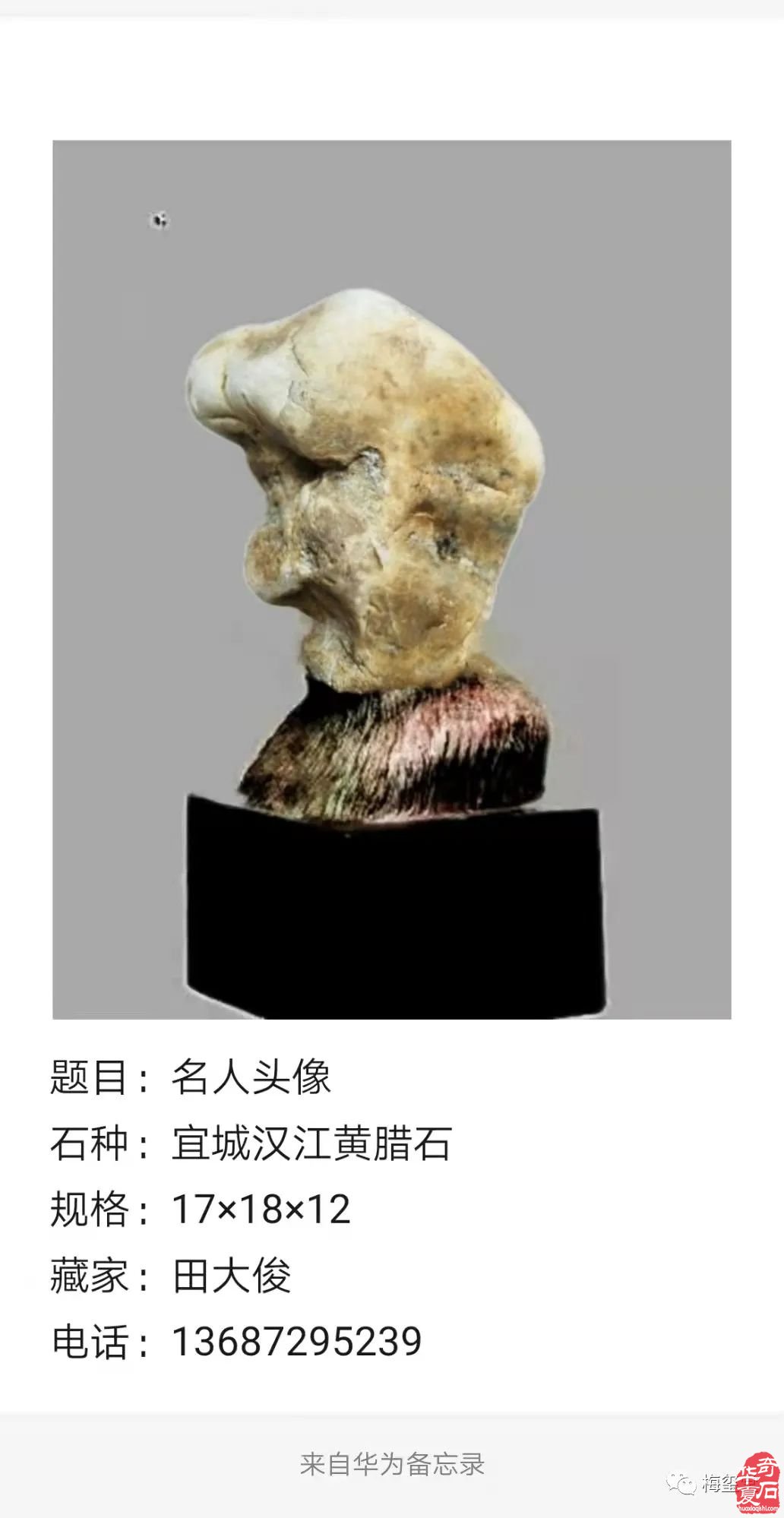 梅玺堂//全国奇石免费展示图(第99期)