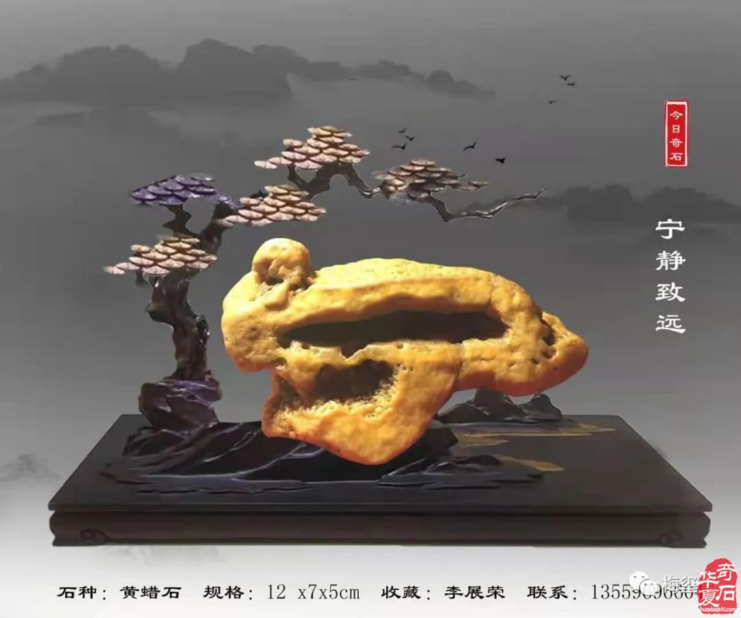 梅玺堂//全国奇石免费展示图(第99期)