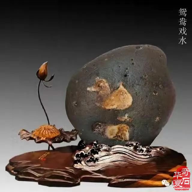 梅玺堂//全国奇石免费展示图(第99期)